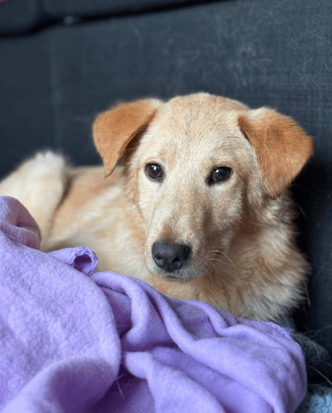 2026 01 31 16 56 47 Zellbiologie OneNote