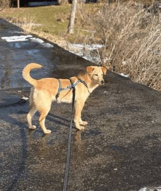 2026 01 31 16 56 57 Zellbiologie OneNote