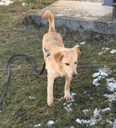 2026 01 31 16 57 02 Zellbiologie OneNote