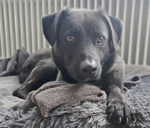 2026 01 31 16 58 29 Zellbiologie OneNote