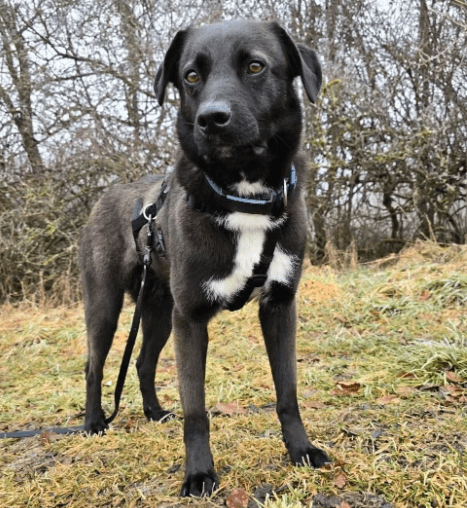 2026 01 31 16 58 36 Zellbiologie OneNote