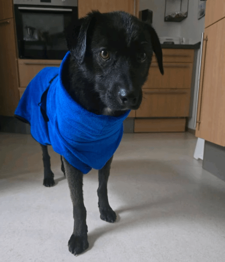 2026 01 31 16 58 42 Zellbiologie OneNote