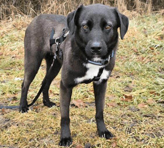 2026 01 31 16 59 03 Zellbiologie OneNote