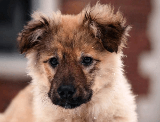 2026 02 06 18 29 07 Newsletter Subscription Nachricht (HTML) (Schreibgeschützt)