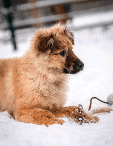 2026 02 06 18 29 10 Newsletter Subscription Nachricht (HTML) (Schreibgeschützt)