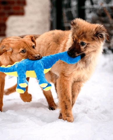 2026 02 06 18 29 13 Newsletter Subscription Nachricht (HTML) (Schreibgeschützt)