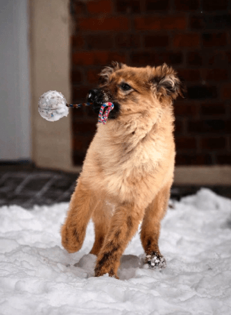 2026 02 06 18 29 18 Newsletter Subscription Nachricht (HTML) (Schreibgeschützt)