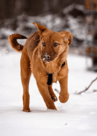 2026 02 06 18 30 29 Newsletter Subscription Nachricht (HTML) (Schreibgeschützt)