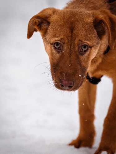 2026 02 06 18 30 33 Newsletter Subscription Nachricht (HTML) (Schreibgeschützt)