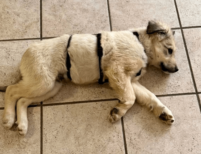 2026 02 09 08 55 54 Newsletter Subscription Nachricht (HTML) (Schreibgeschützt)