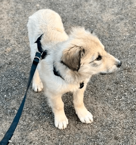 2026 02 09 08 57 37 Newsletter Subscription Nachricht (HTML) (Schreibgeschützt)