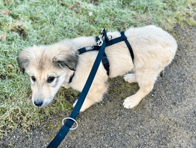 2026 02 09 08 57 41 Newsletter Subscription Nachricht (HTML) (Schreibgeschützt)