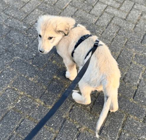 2026 02 09 08 57 45 Newsletter Subscription Nachricht (HTML) (Schreibgeschützt)