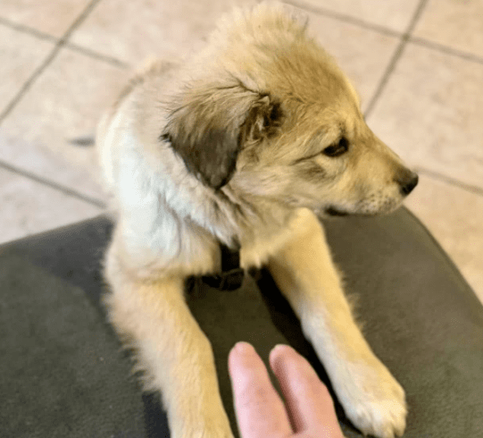 2026 02 09 08 57 50 Newsletter Subscription Nachricht (HTML) (Schreibgeschützt)