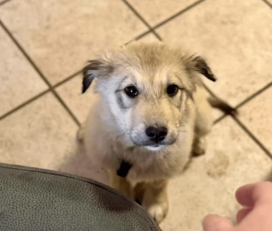 2026 02 09 08 57 56 Newsletter Subscription Nachricht (HTML) (Schreibgeschützt)