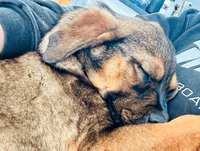 2026 02 13 11 06 34 SMC2SAPEmarsys Process Description.pptx PowerPoint