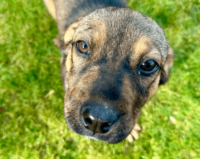 2026 02 13 11 06 38 SMC2SAPEmarsys Process Description.pptx PowerPoint