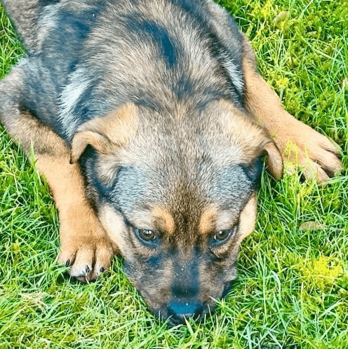 2026 02 13 11 06 46 SMC2SAPEmarsys Process Description.pptx PowerPoint