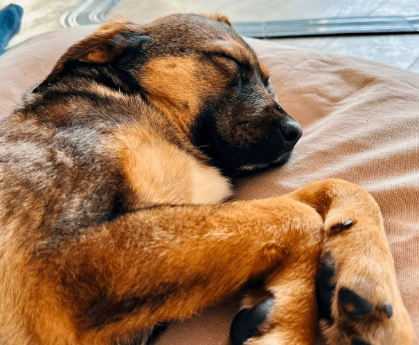 2026 02 13 11 07 01 SMC2SAPEmarsys Process Description.pptx PowerPoint