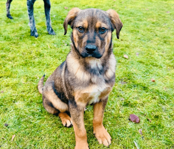 2026 02 13 11 07 06 SMC2SAPEmarsys Process Description.pptx PowerPoint