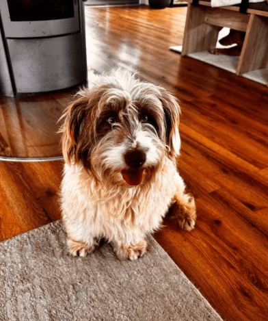 2026 02 13 11 08 23 SMC2SAPEmarsys Process Description.pptx PowerPoint