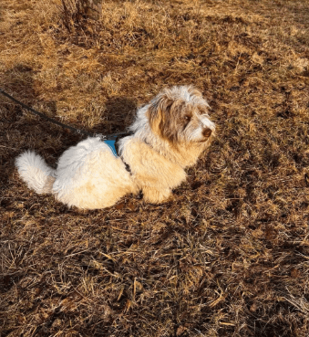 2026 02 13 11 08 28 SMC2SAPEmarsys Process Description.pptx PowerPoint