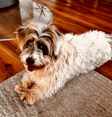 2026 02 13 11 08 31 SMC2SAPEmarsys Process Description.pptx PowerPoint