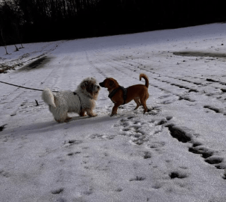 2026 02 13 11 08 35 SMC2SAPEmarsys Process Description.pptx PowerPoint