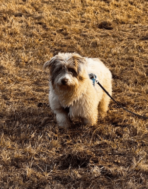 2026 02 13 11 08 43 SMC2SAPEmarsys Process Description.pptx PowerPoint