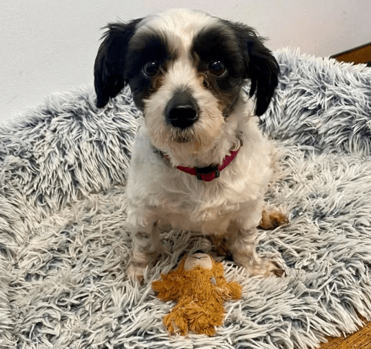 2026 02 13 11 09 54 SMC2SAPEmarsys Process Description.pptx PowerPoint