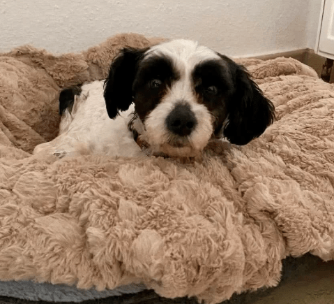 2026 02 13 11 10 02 SMC2SAPEmarsys Process Description.pptx PowerPoint