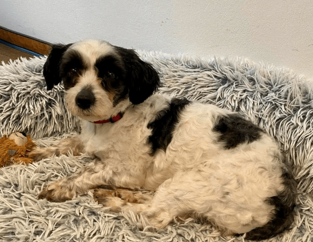 2026 02 13 11 10 44 SMC2SAPEmarsys Process Description.pptx PowerPoint