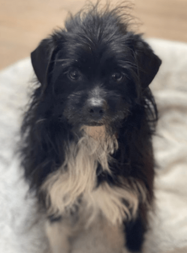 2026 02 13 11 18 02 SMC2SAPEmarsys Process Description.pptx PowerPoint