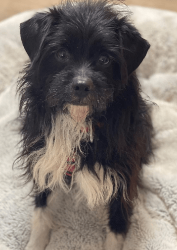 2026 02 13 11 18 11 SMC2SAPEmarsys Process Description.pptx PowerPoint