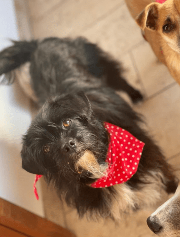 2026 02 13 11 18 17 SMC2SAPEmarsys Process Description.pptx PowerPoint