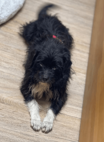 2026 02 13 11 18 23 SMC2SAPEmarsys Process Description.pptx PowerPoint