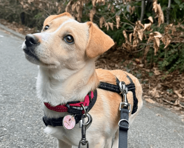 2026 02 21 08 25 42 Posteingang Sina.Rieke Kroeger@oetker.com Outlook