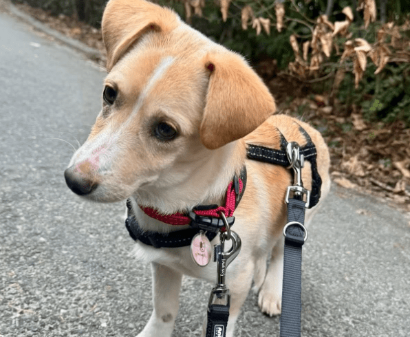 2026 02 21 08 25 46 Posteingang Sina.Rieke Kroeger@oetker.com Outlook