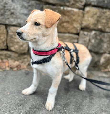 2026 02 21 08 25 51 Posteingang Sina.Rieke Kroeger@oetker.com Outlook