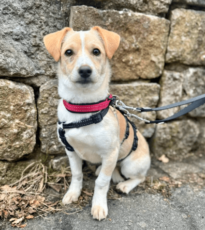 2026 02 21 08 25 56 Posteingang Sina.Rieke Kroeger@oetker.com Outlook