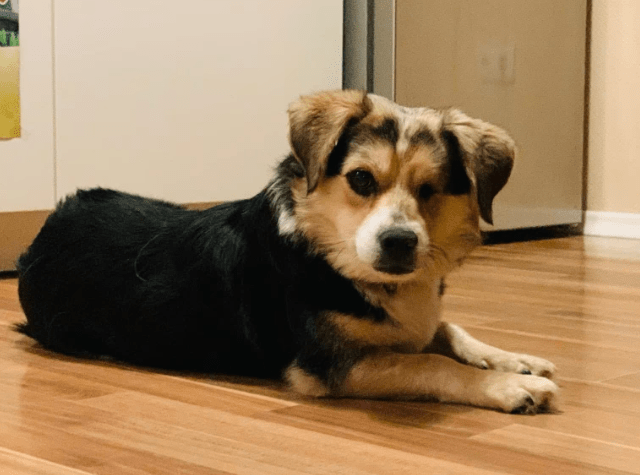 2026 02 25 12 34 57 Implementation Partner Search – Datei Explorer