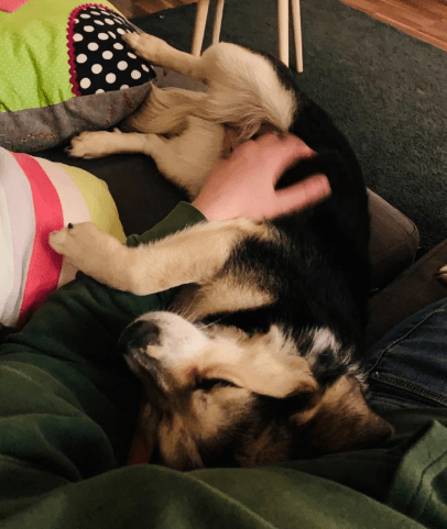 2026 02 25 12 35 01 Implementation Partner Search – Datei Explorer