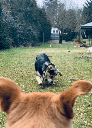 2026 02 25 12 35 04 Implementation Partner Search – Datei Explorer