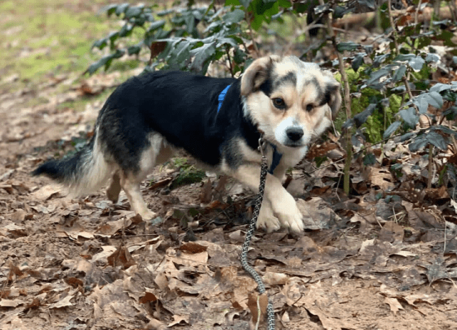 2026 02 25 12 35 10 Implementation Partner Search – Datei Explorer