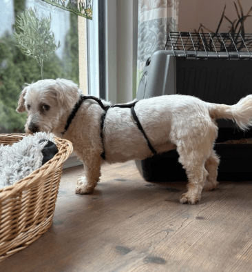 2026 02 25 12 42 25 Implementation Partner Search – Datei Explorer