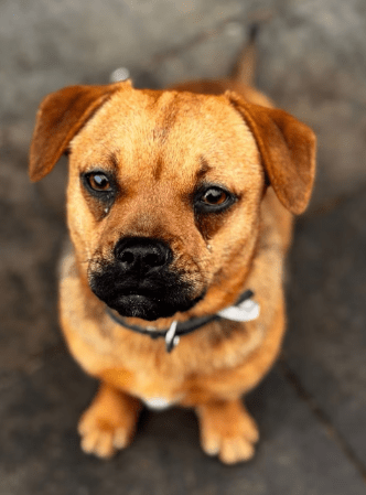 2026 02 25 12 47 53 Implementation Partner Search – Datei Explorer