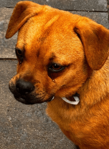 2026 02 25 12 48 00 Implementation Partner Search – Datei Explorer