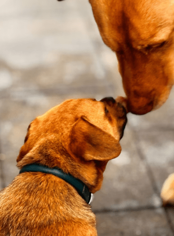 2026 02 25 12 48 05 Implementation Partner Search – Datei Explorer