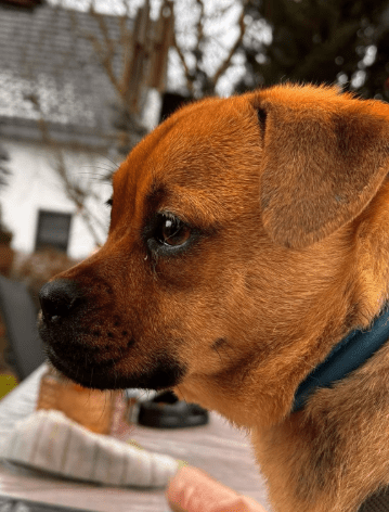 2026 02 25 12 48 09 Implementation Partner Search – Datei Explorer