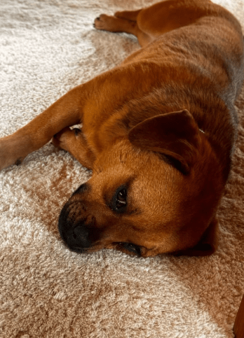 2026 02 25 12 48 15 Implementation Partner Search – Datei Explorer